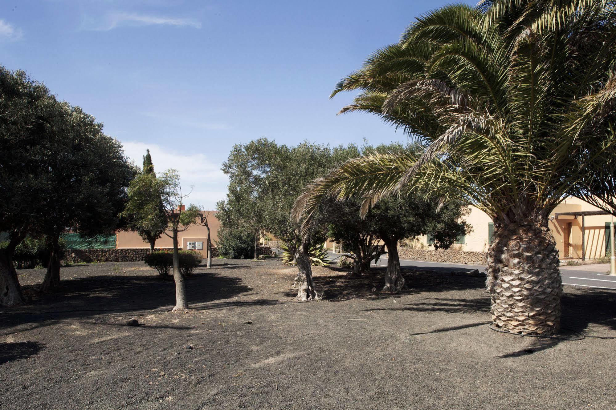 Apartamentos Laurisilva Corralejo Luaran gambar
