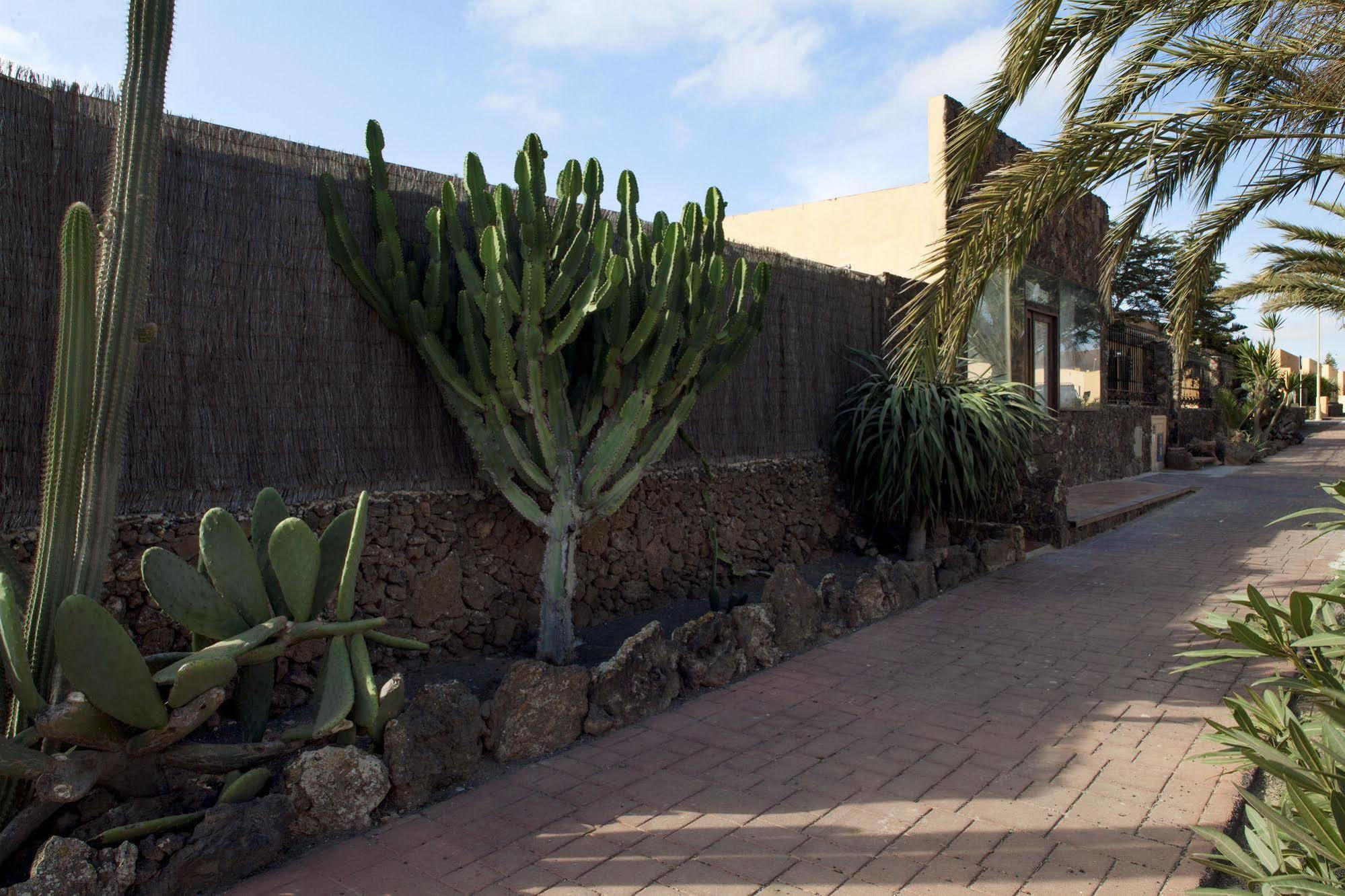 Apartamentos Laurisilva Corralejo Luaran gambar